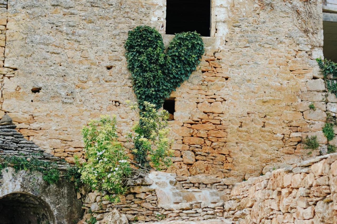 Maison Cistus - Maison D'Hotes De Charme - Suites Et Gite Avec Terrasses Privees - Proche De Sarlat, Au Coeur De La Nature エクステリア 写真